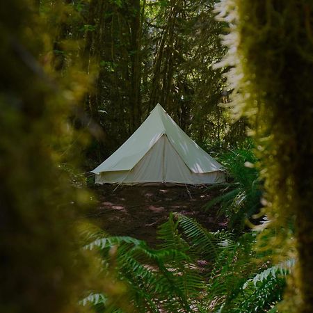 Olympic Glamping Hotel Port Angeles Ngoại thất bức ảnh
