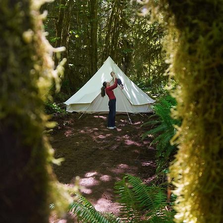 Olympic Glamping Hotel Port Angeles Ngoại thất bức ảnh
