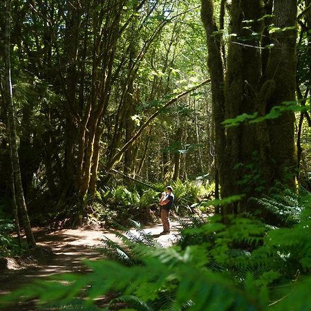 Olympic Glamping Hotel Port Angeles Ngoại thất bức ảnh