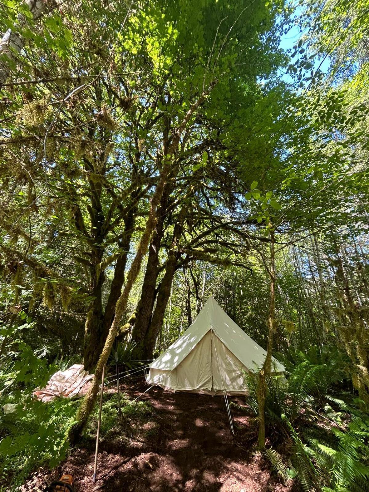 Olympic Glamping Hotel Port Angeles Ngoại thất bức ảnh